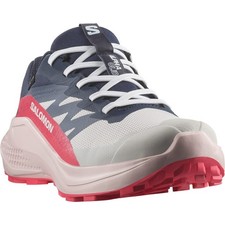 Salomon alphaglide gore gebraucht kaufen  Hamburg