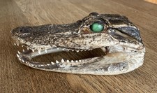 Alligator head nice for sale  SHILDON
