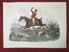 Reiter pferd jagd gebraucht kaufen  Andernach