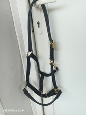 Halfter weidehalfter wb gebraucht kaufen Halfter weidehalfter wb gebraucht kaufen  Selters