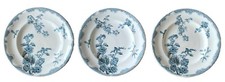Assiettes plates anciennes d'occasion  Rouen-