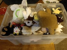 Sammlung konvolut stofftier gebraucht kaufen  Tuntenhausen