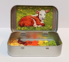 mini hereford for sale  Miles City