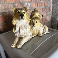 Border collie puppies for sale  NEWPORT