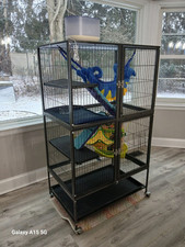 Midwest 182 ferret for sale  Reading