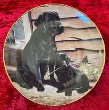 Black labrador plate for sale  ELLESMERE