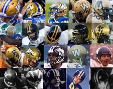 Winnipeg blue bombers for sale  Merritt Island