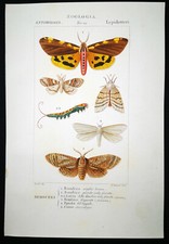 1831 pretre originale usato  Urbino