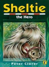 Sheltie sheltie hero for sale  UK