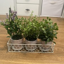 artificial potted plants for sale artificial potted plants for sale CLACTON-ON-SEA
