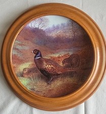 Pheasant autumn wood for sale  LEICESTER