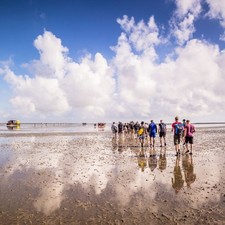 Tage stfriesland nordsee gebraucht kaufen  Hamburg