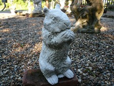 Old white chipmunk for sale  Carmi