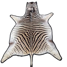 Real zebra skin for sale  Champlain