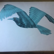 Aldo turchiaro litografia usato  Bologna