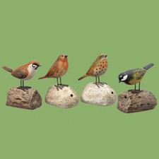 Bewegungsmelder vogel gebraucht kaufen  Osterholz-Scharmbeck