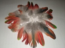 20x naturally moulted for sale  KETTERING