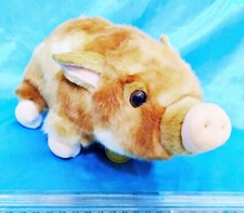 Aurora small brown for sale  Marshalltown
