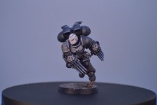 Ravenguard veteran jump for sale  Aurora