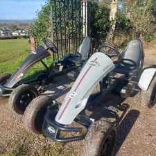 Berg professional kart for sale  NEWTON ABBOT
