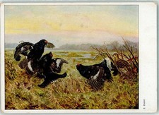 39890723 sign dichtl gebraucht kaufen 39890723 sign dichtl gebraucht kaufen  Eimeldingen