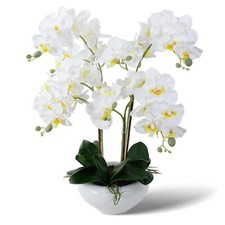 Ziwon artificial orchid for sale  USA