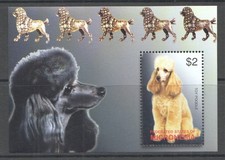 SS0089 MICRONÉSIA CÃES FAUNA ANIMAIS DOMÉSTICOS ANIMAIS DE ESTIMAÇÃO BRINQUEDO POODLE 1BL MNH, usado comprar usado  Enviando para Brazil