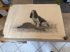 Ancienne lithographie leon d'occasion  Candas