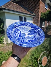 Beautiful copeland spode for sale  MALDON