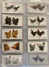 1931 player poultry for sale  HARROGATE