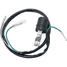 Kill switch bottone usato  Italia