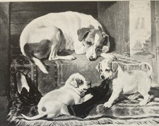 Estampa litográfica antiga Hunt The Slippers início dos anos 1900 comprar usado  Enviando para Brazil
