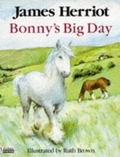 Bonny big day for sale  ROSSENDALE