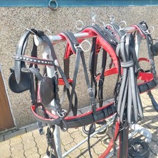 Top leder zweispänner gebraucht kaufen  Herten