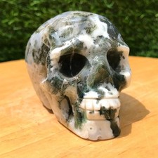 cranio caveira comprar usado cranio caveira comprar usado  Enviando para Brazil