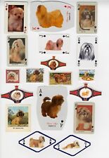 Lhasa apso collection for sale  COLEFORD