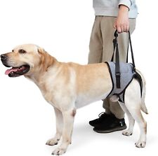 Dotoner dog lifting for sale  BRISTOL