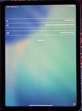 Ipad air blu usato  Villadose