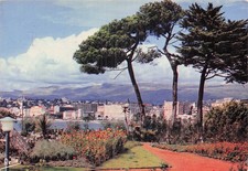 Cannes d'occasion  Expédié en Belgium