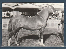 Cpsm 1960 faune d'occasion Cpsm 1960 faune d'occasion  Bourg-en-Bresse