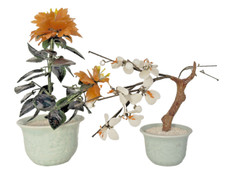 Chinese jade orange for sale  Cherryville
