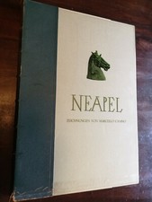 Marcello canino neapel usato  Roma