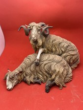 Pecora sheep animale usato  Napoli