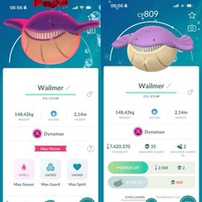 Pokémon shiny dynamax d'occasion  Expédié en Belgium