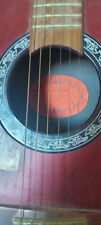 Chitarra elettrica clarissa usato  Spigno Saturnia