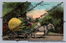 Donkey cart boy for sale  USA