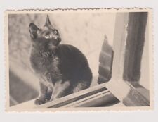 Antique photo black d'occasion  Expédié en Belgium