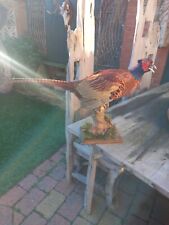 Taxidermy male ring for sale  BILLINGHAM