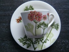 v b kaffeetasse gebraucht kaufen v b kaffeetasse gebraucht kaufen Saarlouis