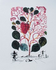Salvador dali begonia d'occasion  Saint-Médard-en-Jalles